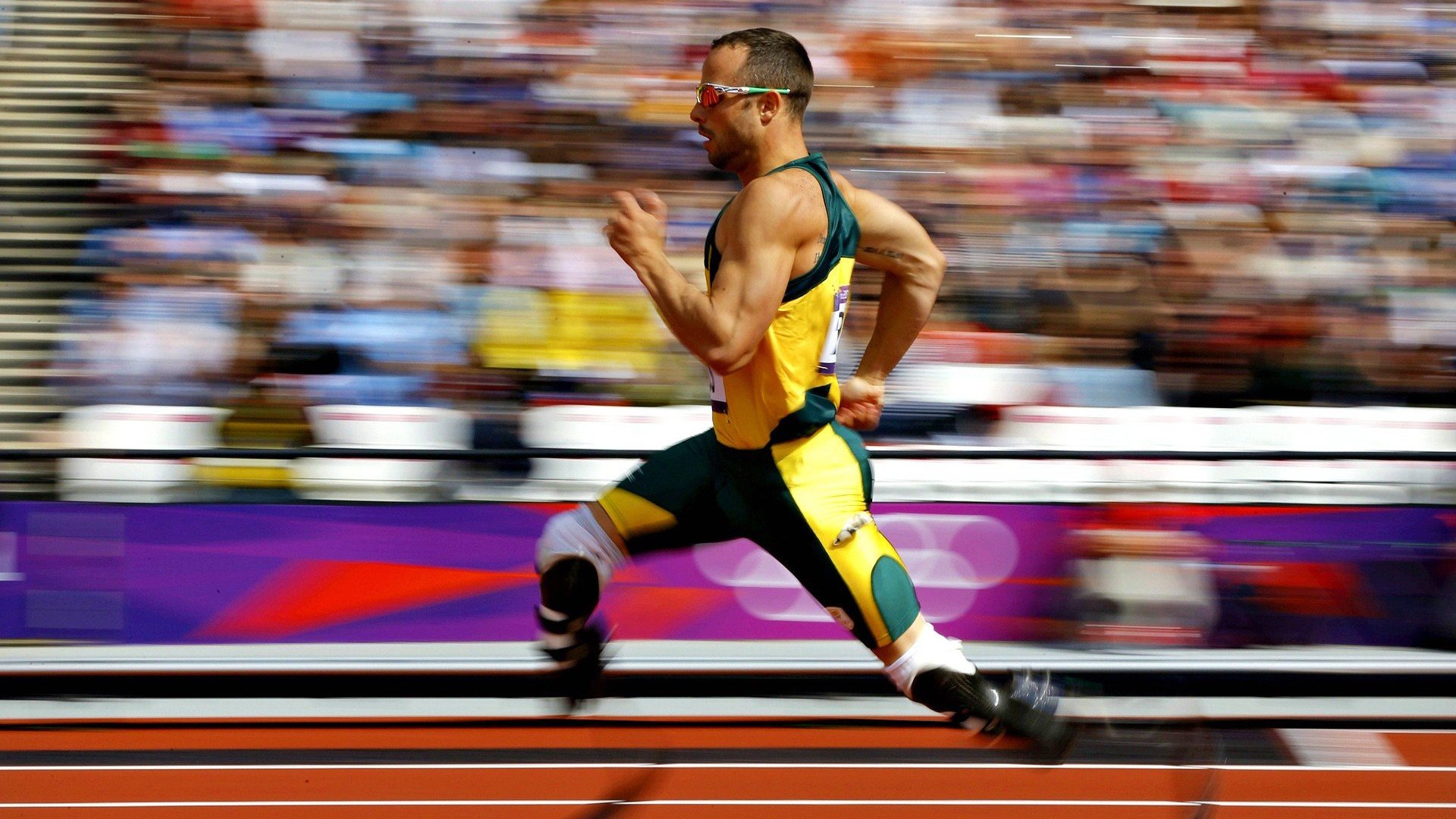 《高校设立电竞专业：未来职业发展的新方向》，高校开设电子竞技专业,你怎么看