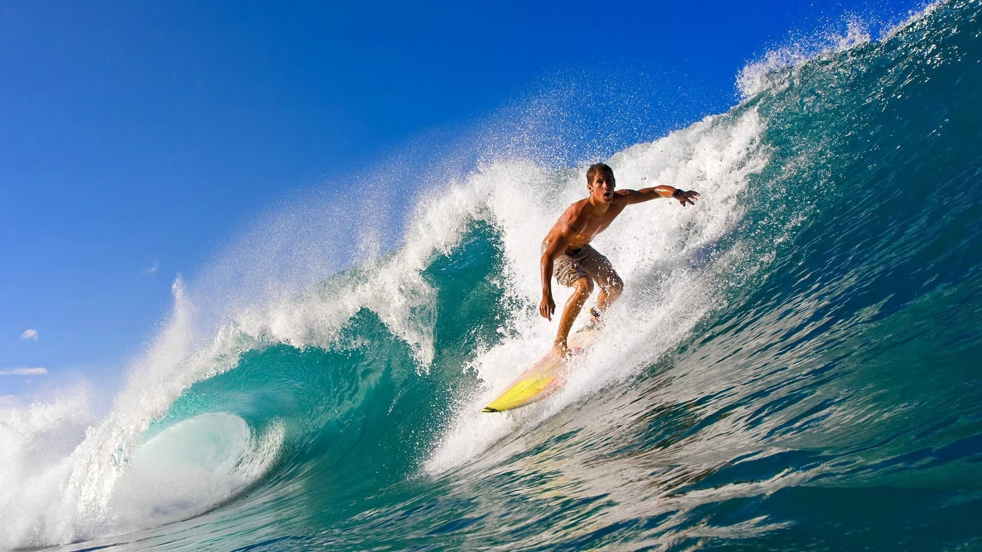 纽约自由人客场表现稳定，纽约自由人比赛